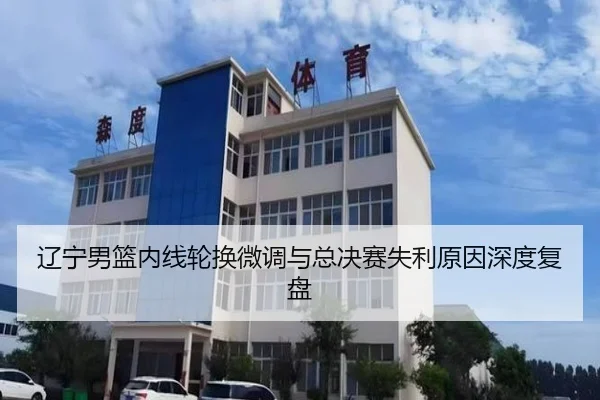 辽宁男篮内线轮换微调与总决赛失利原因深度复盘 - MKSPORTS